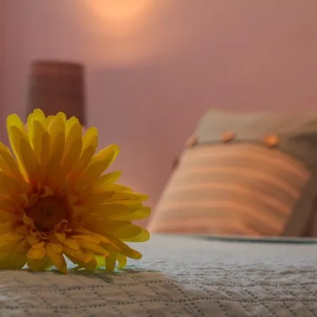 ホテル Old Town Slawkowska クラクフ